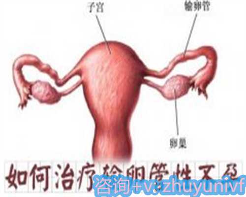 助孕公司联系电话,深圳做试管婴儿哪里比较好？这几家医院做试管成功率高！
